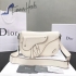 Dior Bag 053